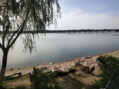 -丁香湖公园