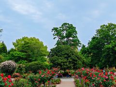 -上海植物园-4号门售票处