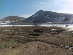 -新疆天山野生动物园