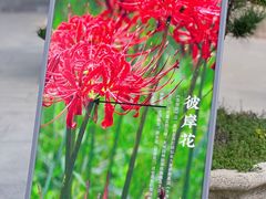 -西安大兴善寺
