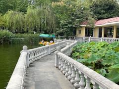 -绵阳人民公园(涪城区)