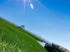 -苏州太湖国际会议中心