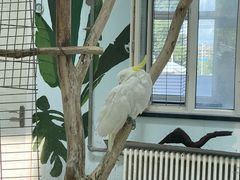 -长春农博园