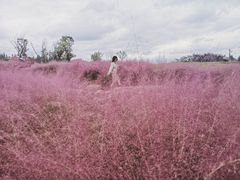 -白鹭湾湿地公园