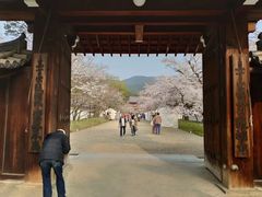-醍醐寺