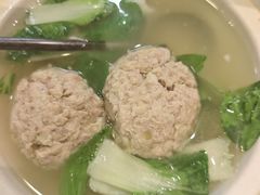 -丁老爷子苏香圆