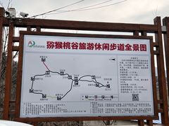 -大岭沟猕猴桃谷风景区