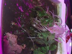 甲丁坊-甲丁坊