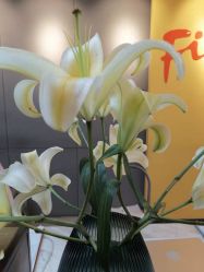 -FineYoga梵音瑜伽·普拉提