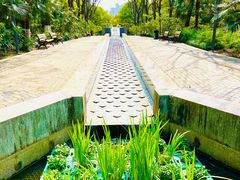 -苏州河梦清园环保主题公园