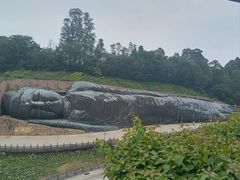 -三水森林公园