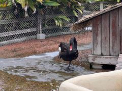 -珠海海泉湾神秘岛亲子乐园