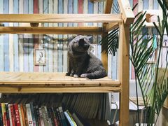 -小时光咖啡馆(开森度假森林店)