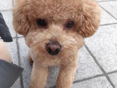 -北京观赏动物医院·24小时大型综合·猫专科·异宠专科