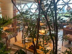 -蛙小侠(珠海华发商都店)