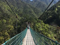 -遂昌金矿国家矿山公园