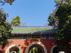 -灵谷景区