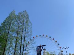 -上海野生动物园