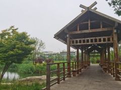 -渡海小渔村.老辈日照菜