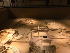 -洛阳周王城天子驾六博物馆