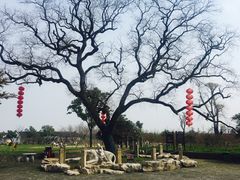 -嬉乐湾休闲旅游区