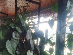 -盐帮食坊•小河帮川菜(四川师大店)