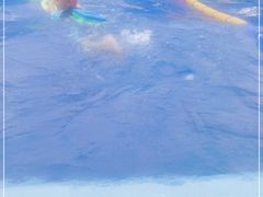 -龙格亲子游泳·水育早教运动中心(绿宝中心)