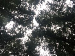-杭州城中香格里拉大酒店