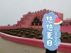 -漳州滨海火山岛自然生态风景区