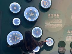 -中国湿地博物馆
