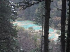 -黄龙山原始森林景区