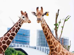 -杭州野生动物世界