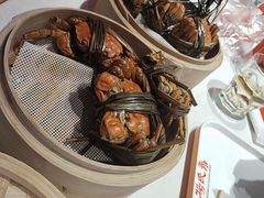 -杨氏青龙虾·羊蝎子(托乐嘉店)
