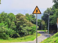 -黄埔油麻山森林公园