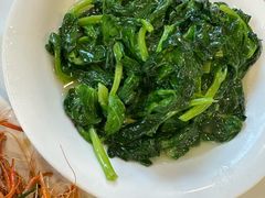 白酒有机豆苗-瑞福园联谊餐室(茂名南路店)