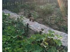 -终南山国家森林公园