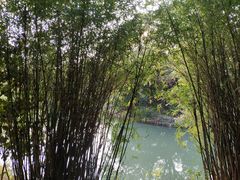 -八大山人梅湖景区