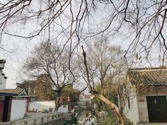 -丝绸小镇荻港古村