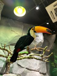 -Zoolung Zoolung动物主题公园(海信广场店)