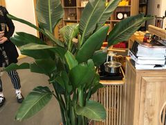 -听雨小筑茶舍(观音桥·龙湖新壹街店)