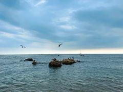 -蓬莱阁景区
