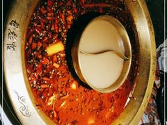 -新哥老官·畅吃123·美蛙世界(苏宁广场店)