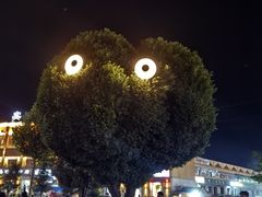 -特克斯八卦城