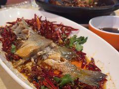 -杨氏青龙虾·羊蝎子(珠江路店)