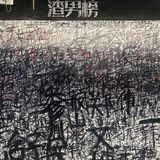 记忆中你的样子，像鱼记住水的拥抱