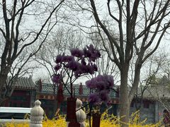 -满堂·烤鸭店·北京菜(鼓楼店)