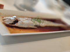 -福1015(愚园路店)