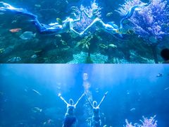 -海合安青岛极地海洋公园