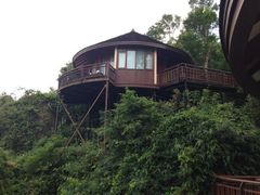 iphone_upload_pic-三亚亚龙湾人间天堂鸟巢度假村