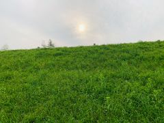 -良渚文化村